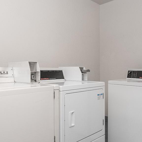 a row of white washing machines in a laundry room.