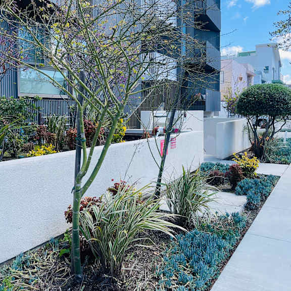 modern landscaped courtyard with walkways and plantings at lido - 3714 kelton apartments, california, 90034