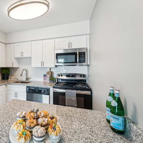 a kitchen with a granite countertop and stainless steel appliances. at linkhorn bay apartments, virginia, 23451