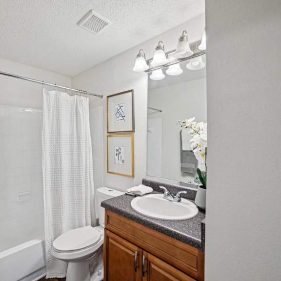 a bathroom with a toilet, sink, and shower at willow ridge apartments, north carolina, 28210