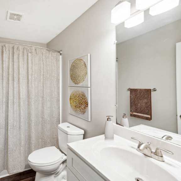 bathroom at lakecrest apartments, prg real estate management, greenville, sc, 29615