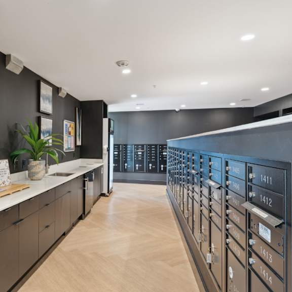 a modern kitchen with black cabinets and wooden floors at south falls tower apartments, richmond, va