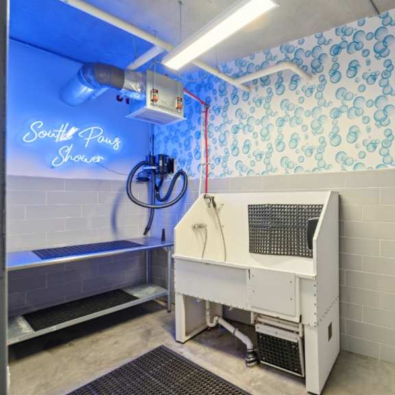 a cleaning machine is in a room with a wallpapered wall at south falls tower apartments, richmond, virginia