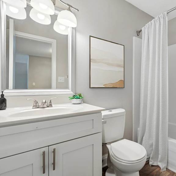 a bathroom with a toilet, sink, and shower at clarion crossing apartments, prg real estate management, raleigh