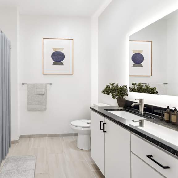a bathroom with a toilet, sink, and a mirror at the point apartments on 38th, norfolk, virginia