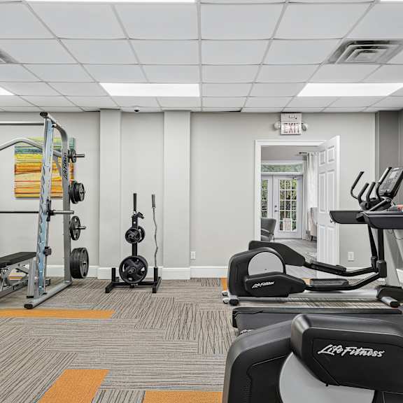 a gym with a treadmill, weights, and exercise equipment.