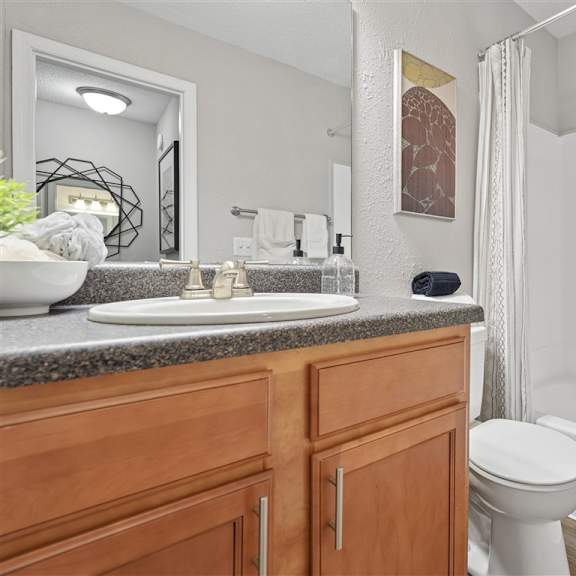 clean apartment bathroom with vanity at park ridge estates