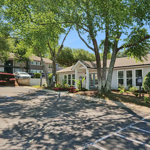 a tree in front of a house with a driveway.