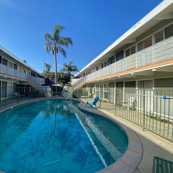 a swimming pool in a residential area with a palm tree in the background.