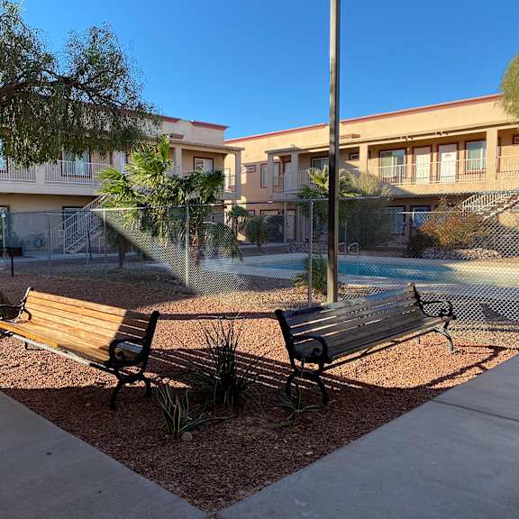 two wooden benches are situated in a courtyard with a tree and a building in the background.