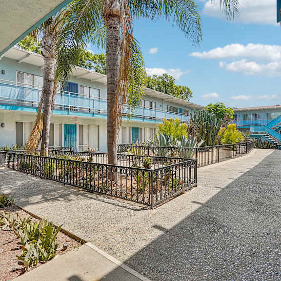 a sunny day at a residential area with a pathway and palm trees.