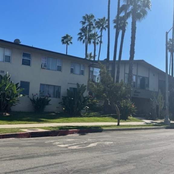 a building with a white facade and a row of palm trees in front of it.