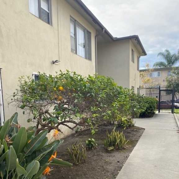 a beige house with a grey walkway and green plants.