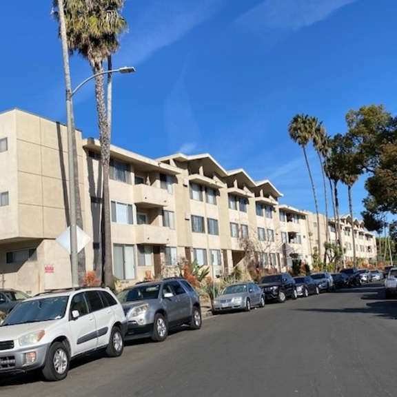a row of cars parked in front of a building with palm trees.