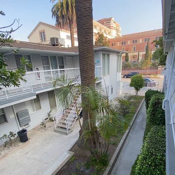 a view of a street from a window with a palm tree in the distance.