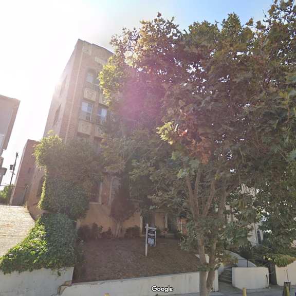 a tree in front of a building with a sign in front of it.