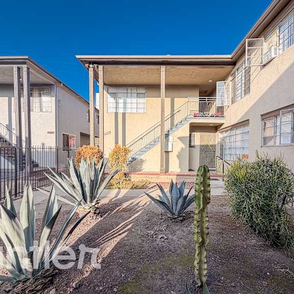 a sunny day at a residential area with houses and cacti.