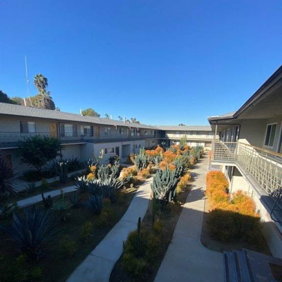 a sunny day at the courtyard with plants and pathways.
