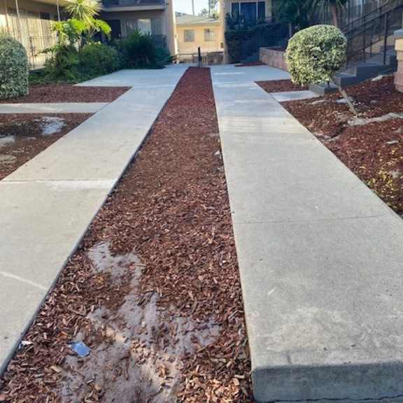 a concrete pathway leads between two rows of houses.