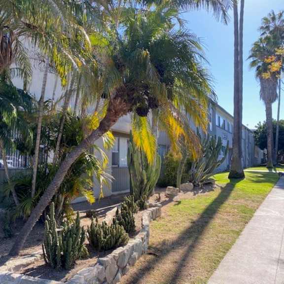 a row of palm trees in front of a building.