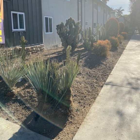 a sunny day at a residential area with houses and plants.