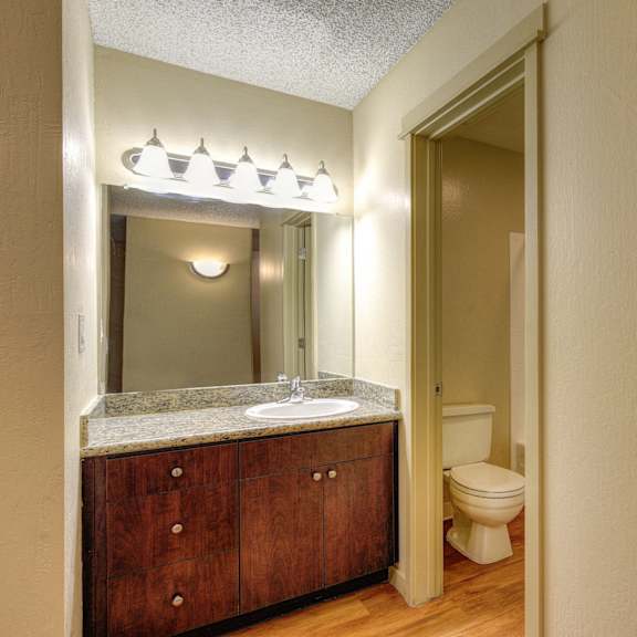 bathroom and vanity at the retreat at walnut creek, walnut creek