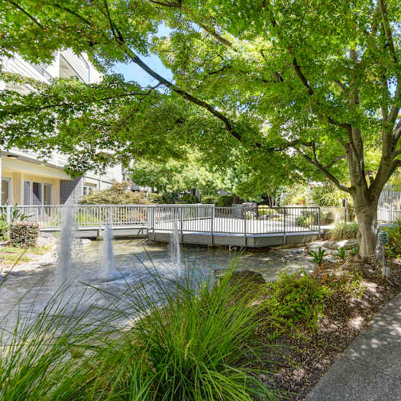 a mature shade tree near on-site pond with fountain features and a bridge at the retreat at walnut creek, walnut creek