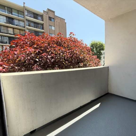 Thumbnail 12 of 26 A balcony with a grey floor and a white wall with a bush in the background.