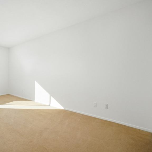Thumbnail 17 of 17 A large empty room with a window on the left side.
