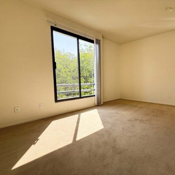 Thumbnail 13 of 18 A room with a carpeted floor, a window, and a door.