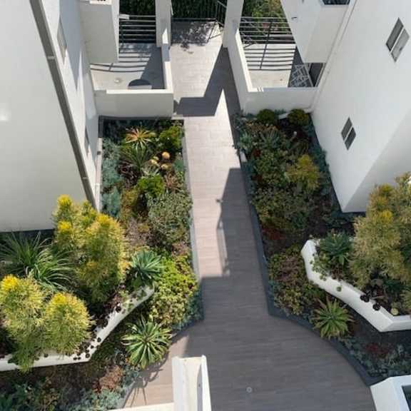 Thumbnail 9 of 18 A small garden with a wooden walkway between two white buildings.
