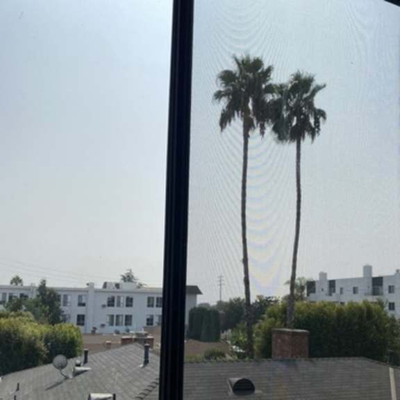 Thumbnail 8 of 16 A view of a rooftop with palm trees in the distance.