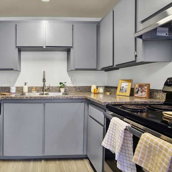 Thumbnail 16 of 18 A kitchen with a black dishwasher and a black stove top oven.