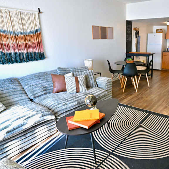 a living room with a grey sofa and a black and white rug.