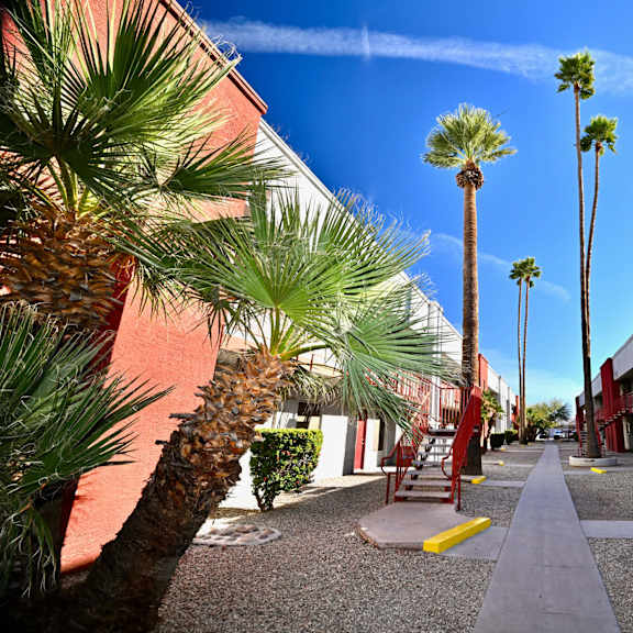 a pathway with red railings and palm trees.