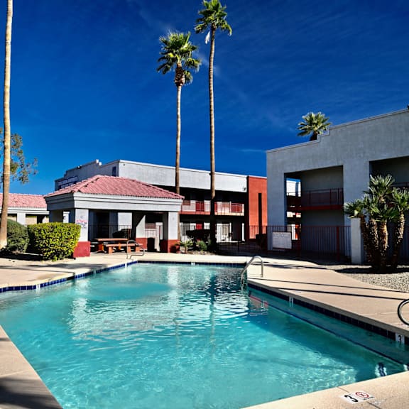 a pool surrounded by palm trees and a building.