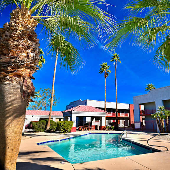 a pool surrounded by palm trees and a building in the background.