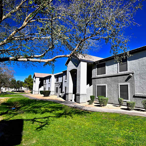 a row of houses with a tree in front.