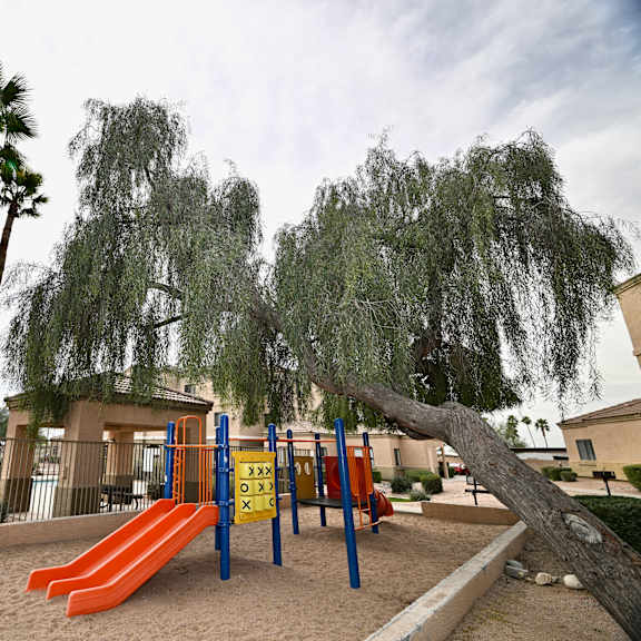 a playground with a slide and a tree in the foreground.