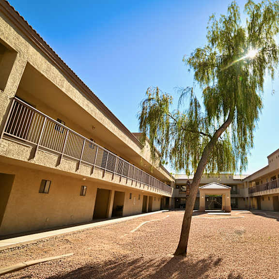 a tree stands in the middle of a courtyard between two buildings.