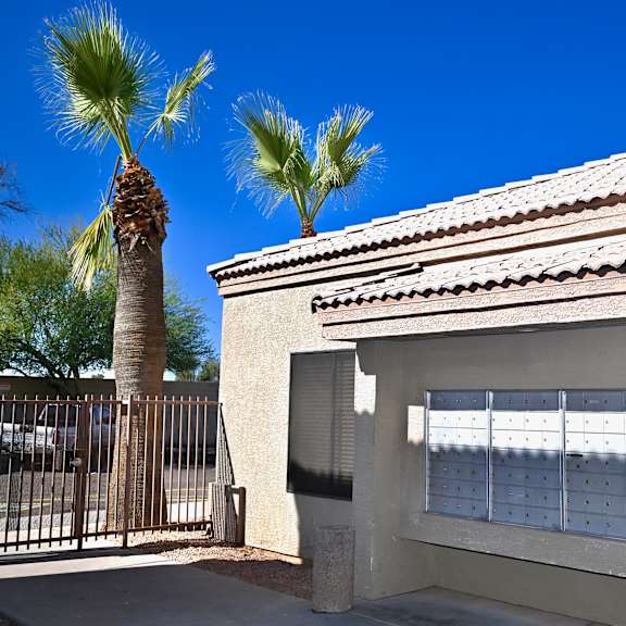 a building with a palm tree in front of it.