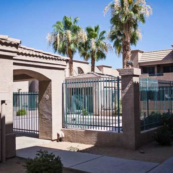 a gated entrance to a home with a palm tree in the front yard.