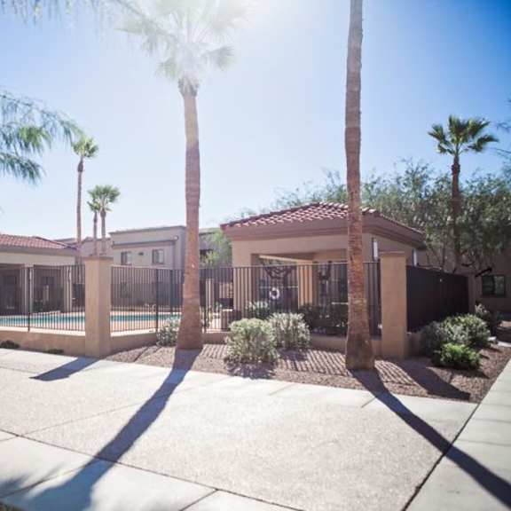 a sunny day at a residential area with palm trees and houses.