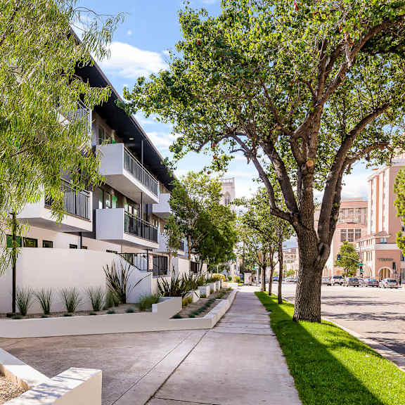 a tree-lined street with a white building on the left.