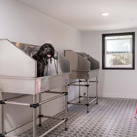 a dog is sitting in a metal cage in a room with a pink chair.