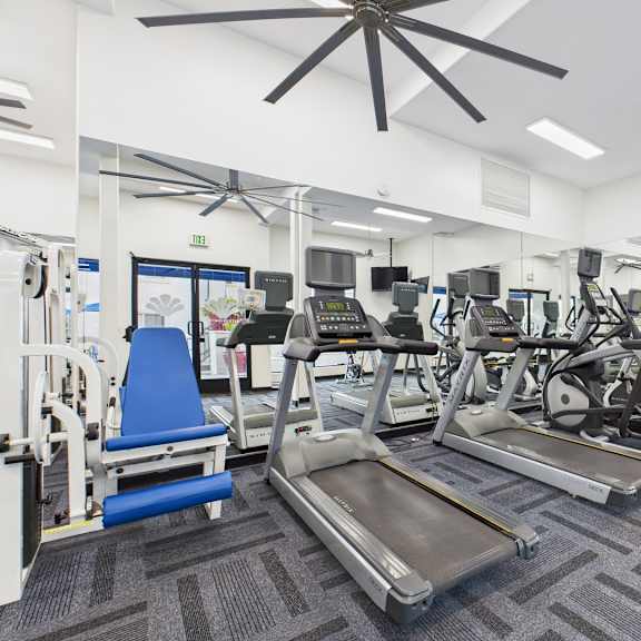 a gym with treadmills, exercise bikes, and other equipment.