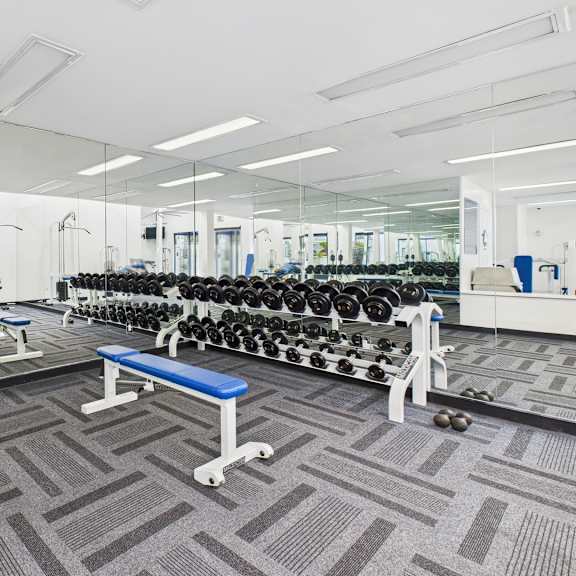 a gym with a bench, weights, and mirrors.