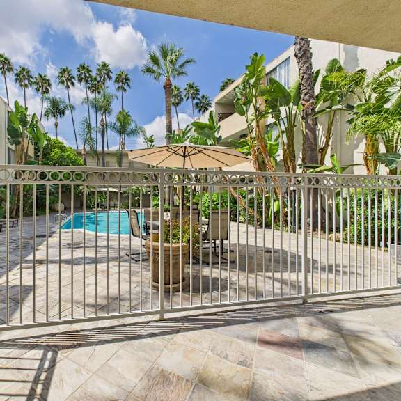 a pool surrounded by a metal fence with a palm tree in the background.