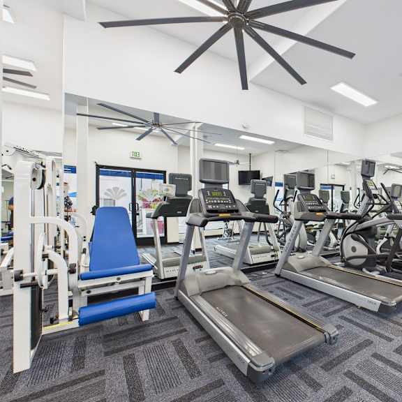a gym with a treadmill, weights, and exercise equipment.
