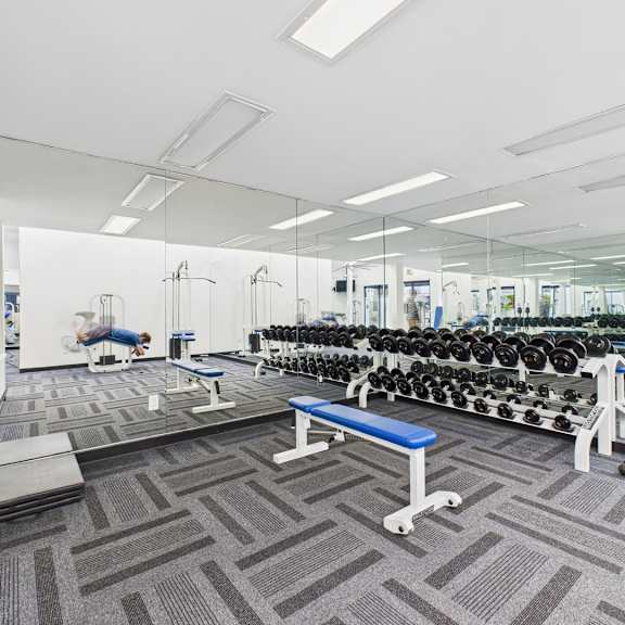 a gym with a bench, weights, and mirrors.